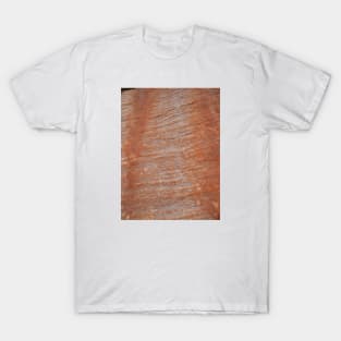 Sandstone rockface lines texture T-Shirt